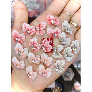 Hoa bột chân ảnh thật shop chụp