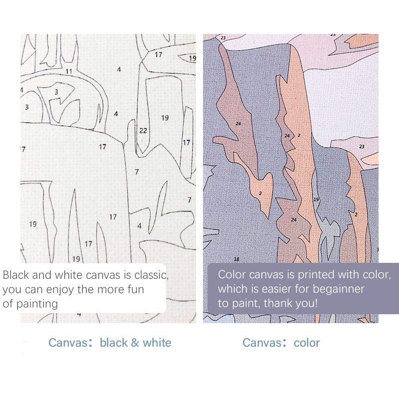 Set tranh sơn dầu 40x50cm tự làm hình cô gái Trung Hoa xinh xắn