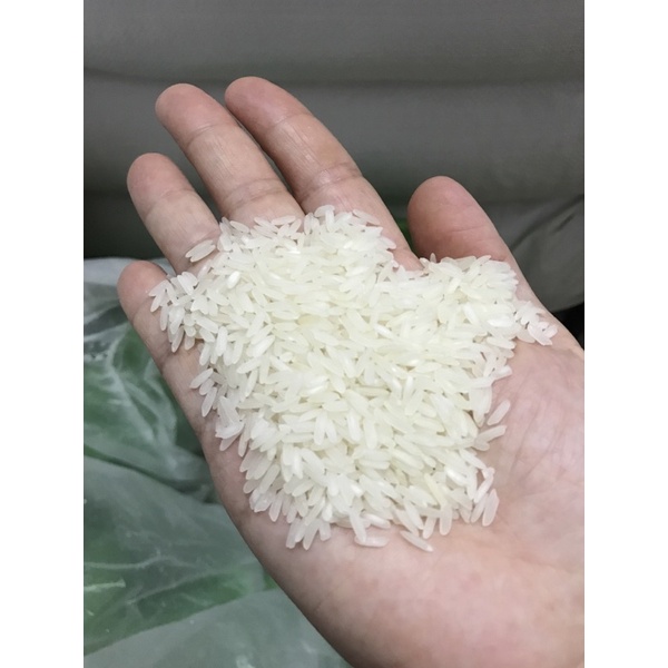 10kg gạo thơm đài loan dẻo vừa mềm cơm