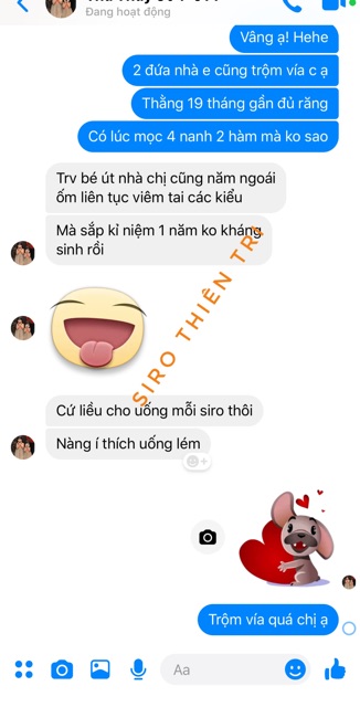 Siro ho thảo mộc húng chanh Thiên Tri 500ml