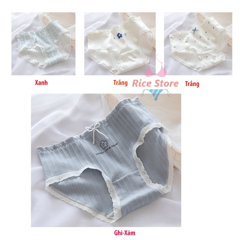 [Thanh Lý] Quần lót nữ cạp thấp viền ren kháng khuẩn mềm mại KIMCHIBIKINI chip cao cấp sexy thông hơi thoáng mát QL041