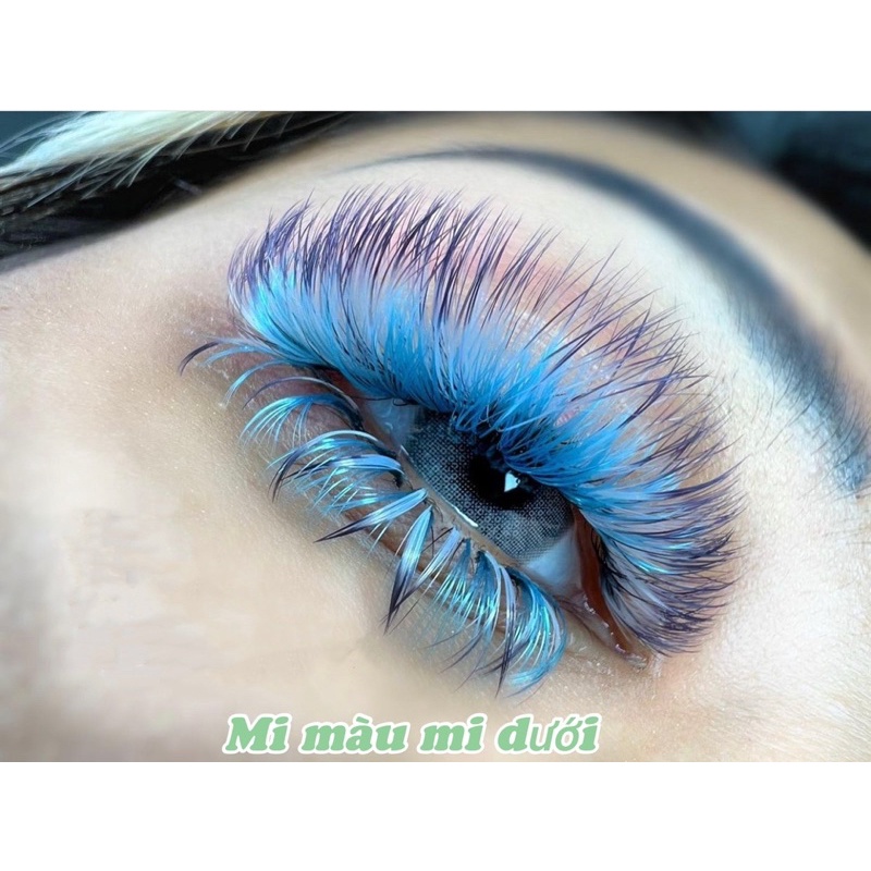 Mi nối Mi dưới và B 0.07 & 0.10