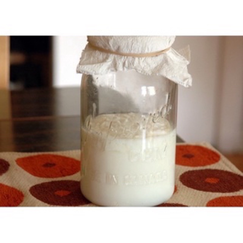 Nấm Kefir Làm Sữa Chua / Nấm Tuyết Tây Tạng và Dụng Cụ Làm Sữa Chua tại nhà