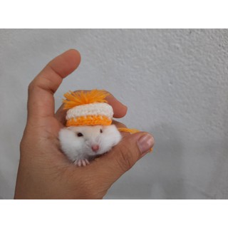 Nón Hamster Nhiều Mẫu - 10k trở lên