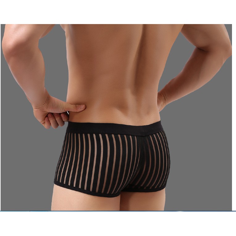 BOXER THUN LƯỚI DỌC ĐỨNG
