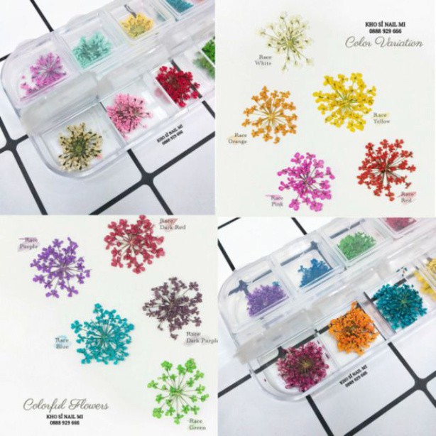 Hoa khô trang trí móng tay - Set 12 màu hoa chùm đắp gel ẩn phong cách Hàn Nhật