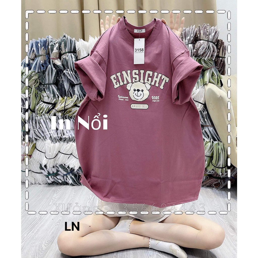 Áo phông gấu einsight chất cotton khô 5L8N