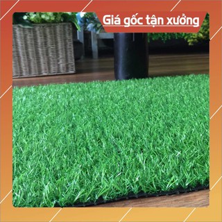 [ 0.5M x 1M - 0.5M x 1.2M ] Tấm cỏ nhựa - Thảm cỏ nhân tạo cao 2cm