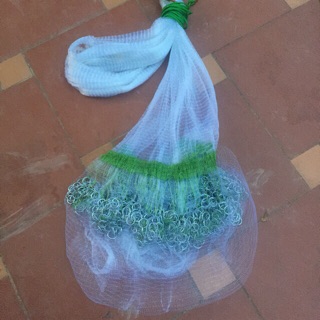 Chài xích bắt cá
