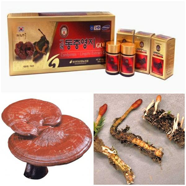 Giá siêu tốt: Cao linh chi đông trùng Pocheon hàn quốc, hộp 5 lọ x 50gr
