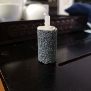 Quả sủi oxy cho hồ cá thủy sinh