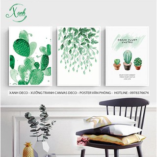 tranh canvas trang trí hoa xương rồng bộ 3 bức