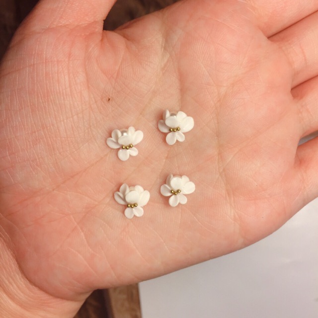 Hoa bột nail( có nhuỵ)