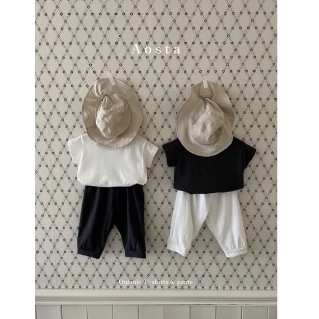 Áo trơn Aosta 2022