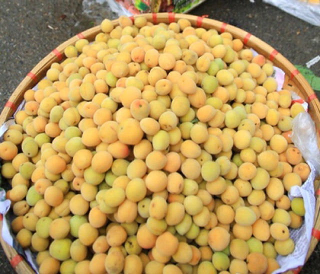 3kg nước mơ ngâm đường