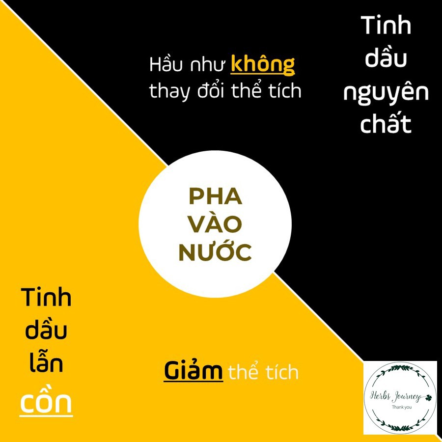 Tinh dầu Quất cao cấp Treo xe - BEFINE - Tinh dầu tự nhiên nguyên chất - Khử mùi xe, thơm phòng