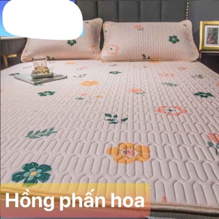[ SALE SỐC RẺ VÔ ĐỊCH] CHIẾU ĐIỀU HOÀ TENCEL MỦ CAO SU NON