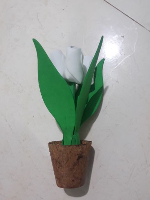 Chậu hoa tulip mini