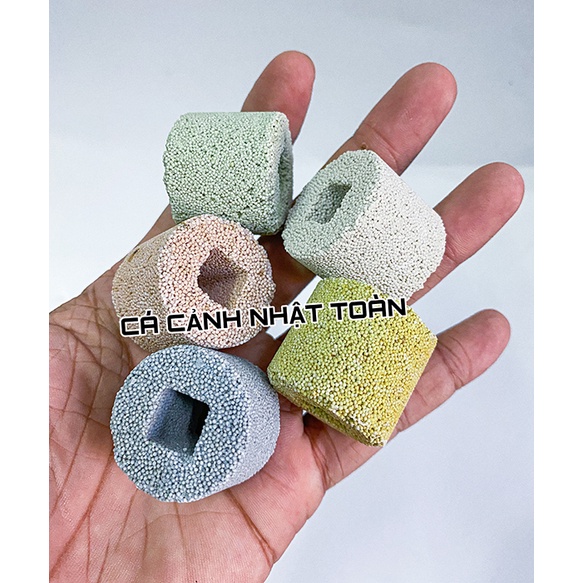 SỨ LỌC VIÊN TRỤ 5 MÀU ANEROBIC VẬT LIỆU LỌC HỒ CÁ 1KG