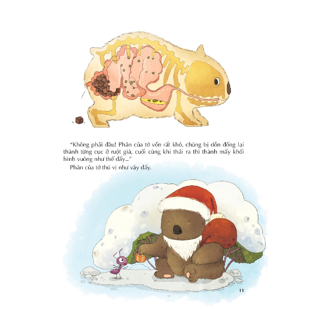 Sách - Bí Mật Muôn Loài - Phân Động Vật Có Tác Dụng Gì?