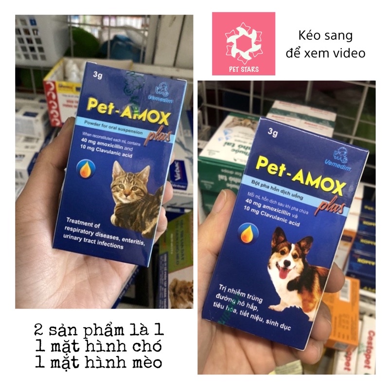 Dung dịch uống Pet Amox hỗ trợ hô hấp, tiêu hoá
