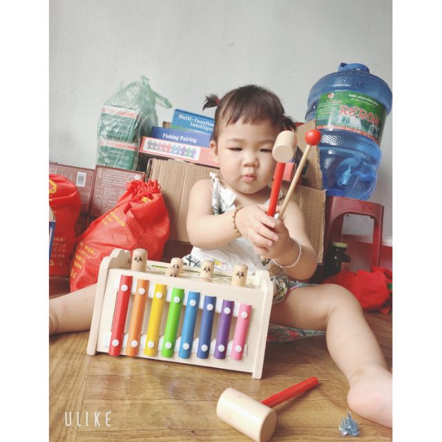 Combo đập chuột kèm đàn,