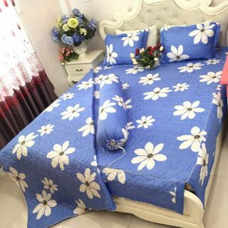 Trọn bộ poly cotton ( hàng trần bông)