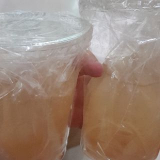 COMBO SCOBY KOMBUCHA+10 BAO LÌ XÌ 2025