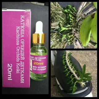 KEIKI NGA 20ML Kích mầm hoa lan