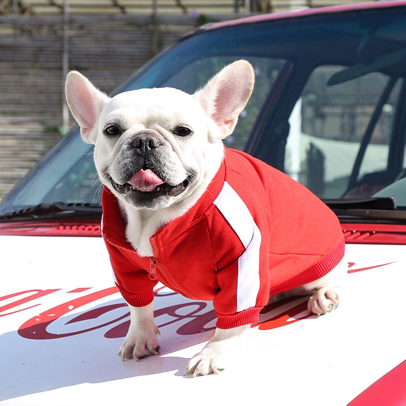 Áo Sweater Có Khóa Kéo Thời Trang 2022 Dành Cho Thú Cưng #Ốp Điện Thoại Thời Trang Cho A060 A060