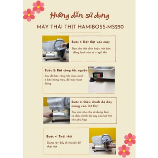 Máy thái thịt Hamiboss-MS250