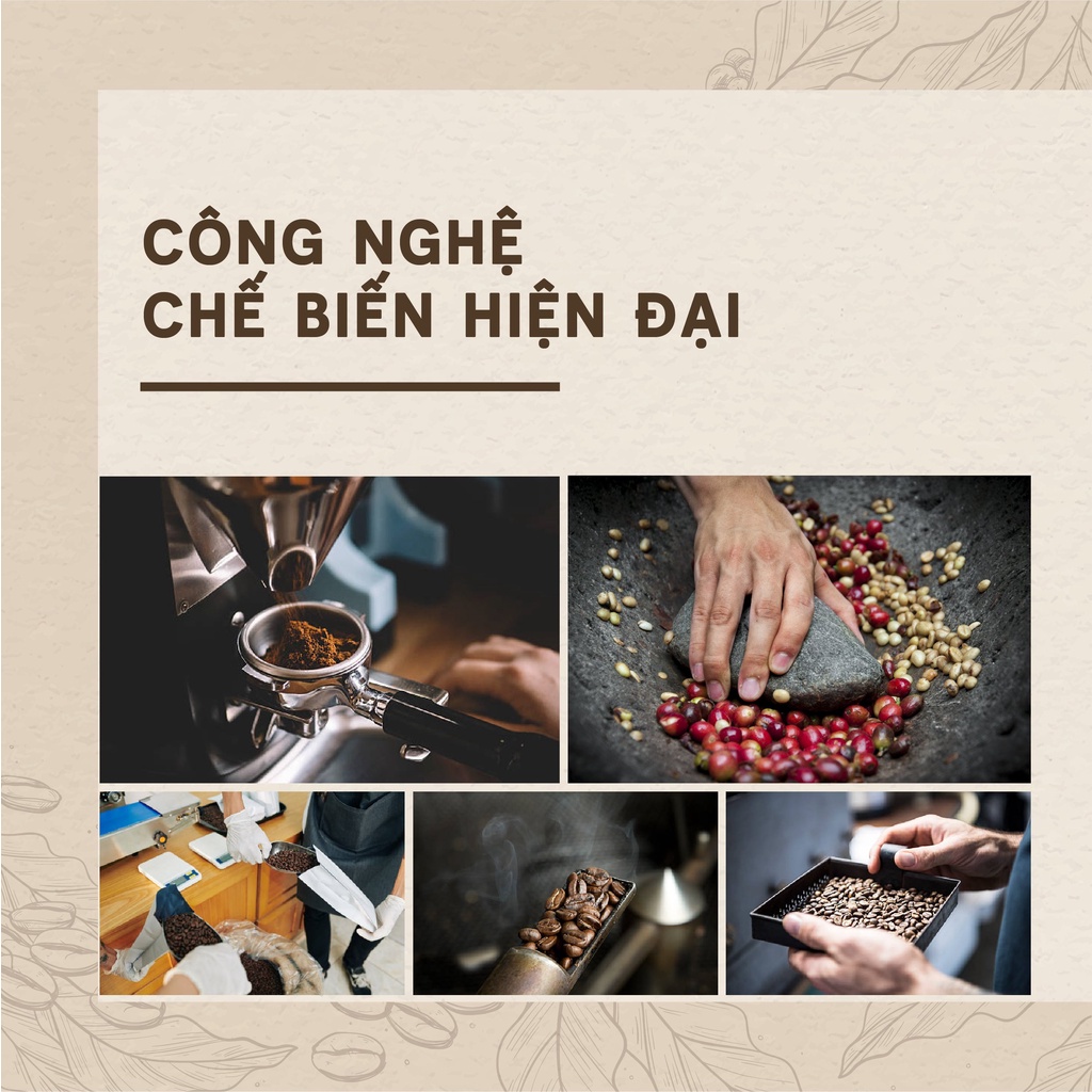 Cà Phê Đậm Xay Rang Mộc Nguyên Chất - Cafe Truyền Thống Vị Đậm Thơm Phù Hợp Pha Sữa - Gói 500gr - Mua 1 Tặng 1