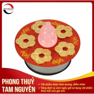 Hoa Mai Chiêu Tài Xoay chiêu tài, kích lộc