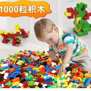 Bộ lắp ráp 1000 miếng