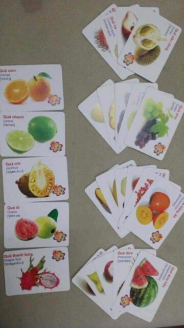 Thẻ học 16 chủ đề