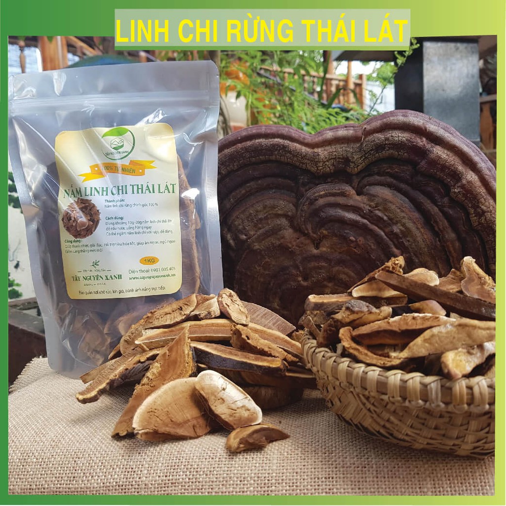 Nấm Linh Chi Rừng Thái Lát Chính Gốc Tây Nguyên | Cam Kết Hoàn Tiền Nếu Không Hài Lòng Về Chất Lượng