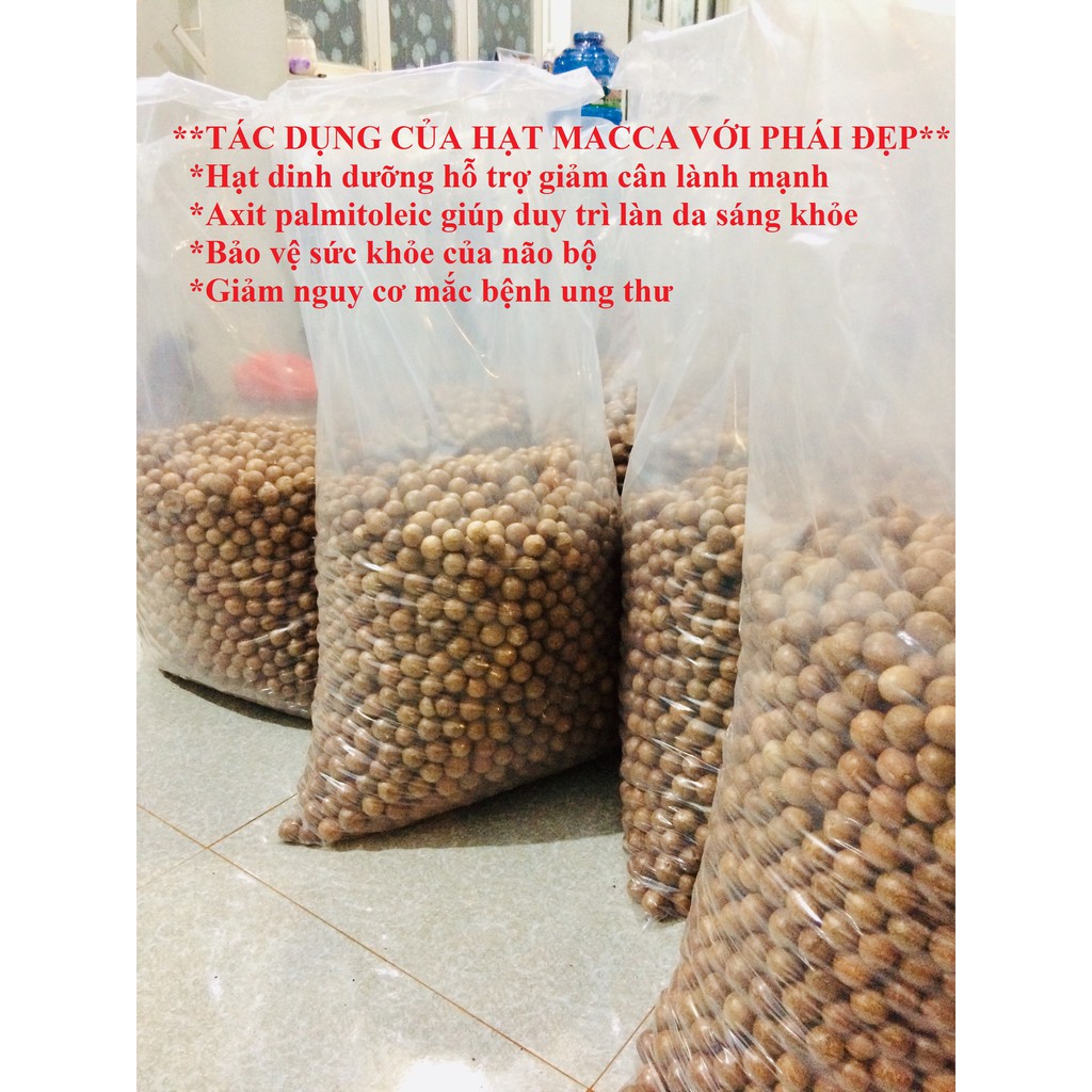 500g Hạt MACCA (Mắc ca) SẤY LẠNH Size Lớn 23-27mm | BigBuy360 - bigbuy360.vn