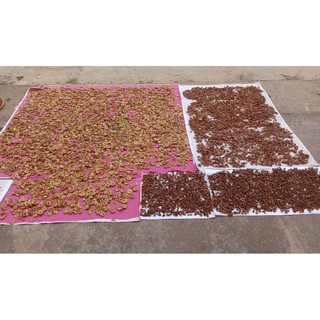 Combo 5kg Táo mèo khô Mù Cang Chải Yên Bái