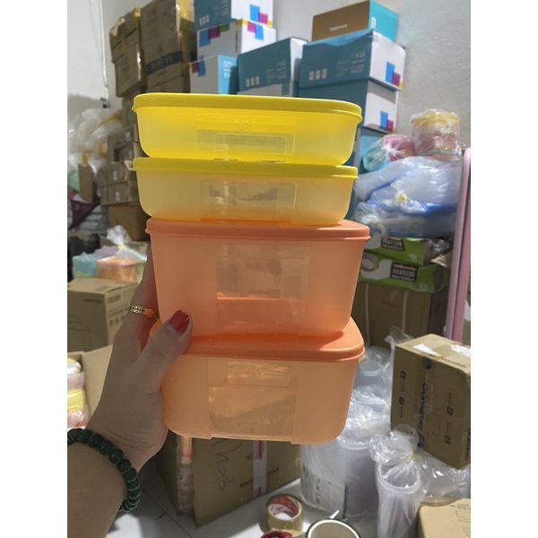 Set 4 hộp Tupperware trữ đông,trữ mát (2hộp 700ml+2hộp 300ml)