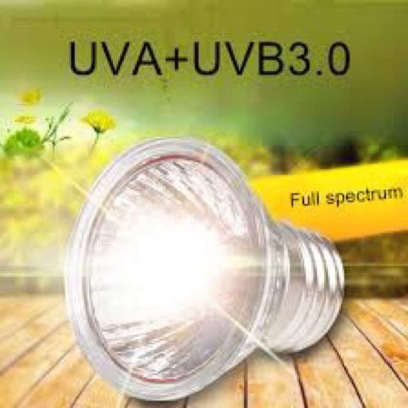 Đèn sưởi UVA UVB & chuôi đèn sưởi, kẹp sưởi cho thú cưng,bò sát, rùa cảnh