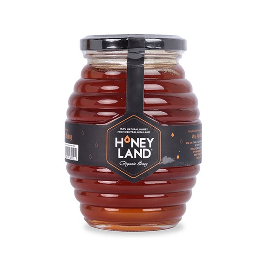 Combo 5 chai mật ong rừng Tây Nguyên 500g + 2 chai điện biên + 2 hộp cá mòi HONEYLAND