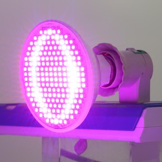 Đèn Led Trồng Cây E27 Smd 24w 200-led