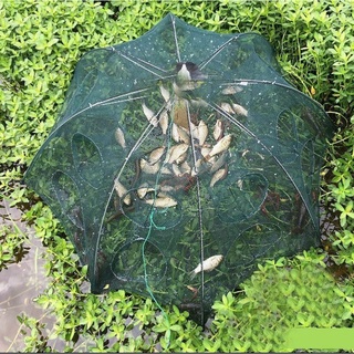 Lồng ô bát quái đánh cá,trạch,lươn,tôm