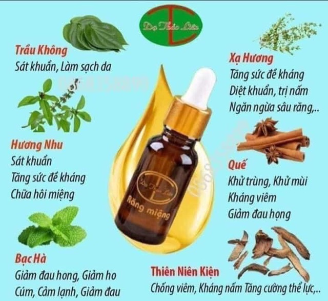 Tinh dầu Dạ Thảo Liên sâu răng hôi miệng 20ml