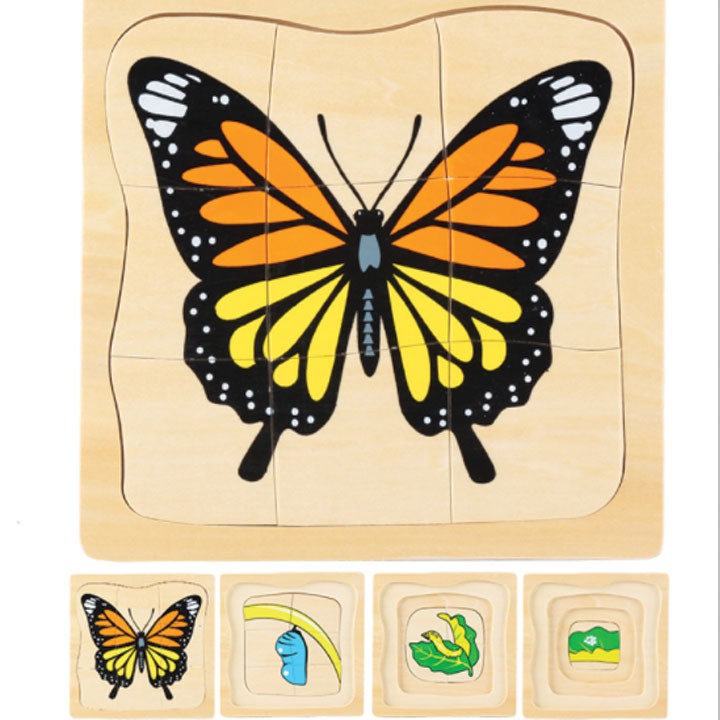 Giáo cụ Montessori - xếp hình sinh trưởng của bướm