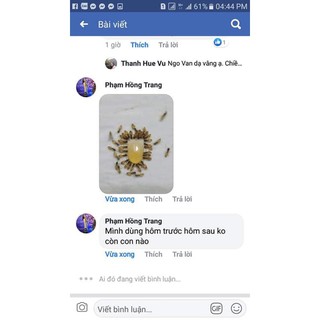 Thuốc diệt kiến và gián sinh học