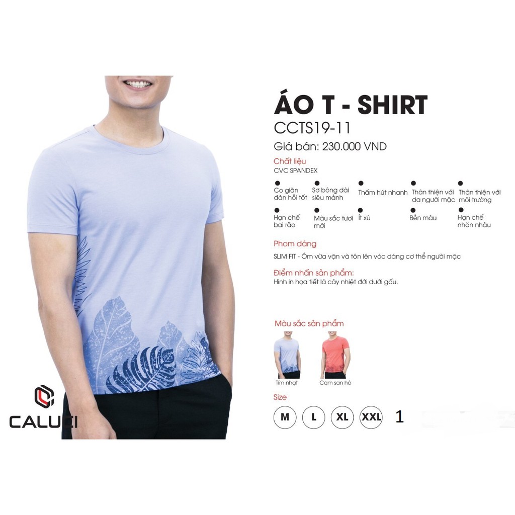 Áo thun ( SHIRT) CALUCI