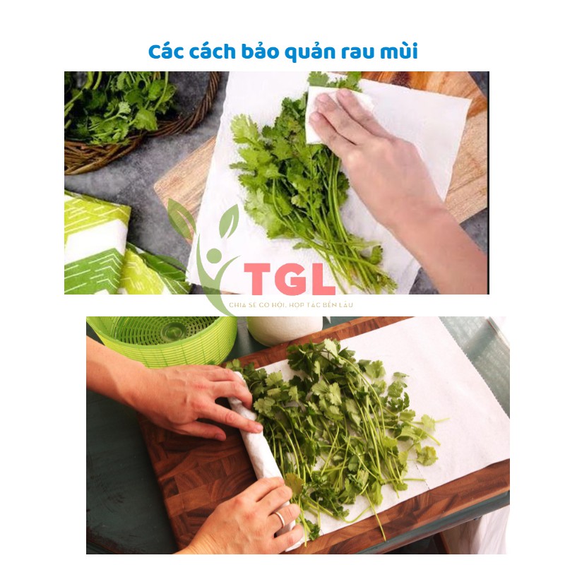 Hạt Giống Rau Mùi Hạt Lớn, Ngò Pháp Phú Điền, Hạt giống rau củ quả chất lượng tốt - Gói 20 Gram