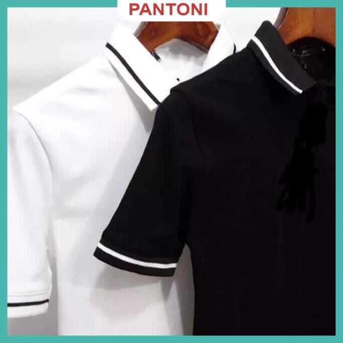 Áo phông nam ngắn tay cổ bẻ dáng slimfit, chuẩn thiết kế hàn quốc, cực tôn dáng, lịch sự, trẻ trung(APKV) | BigBuy360 - bigbuy360.vn