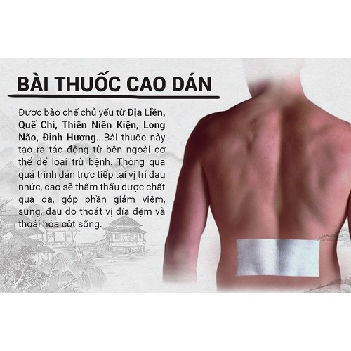 10 Tấm Cao dán xương khớp Đông y